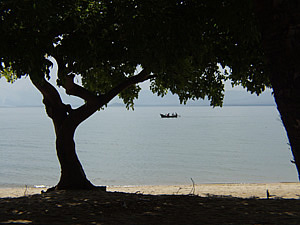 Palm Beach Lake shore